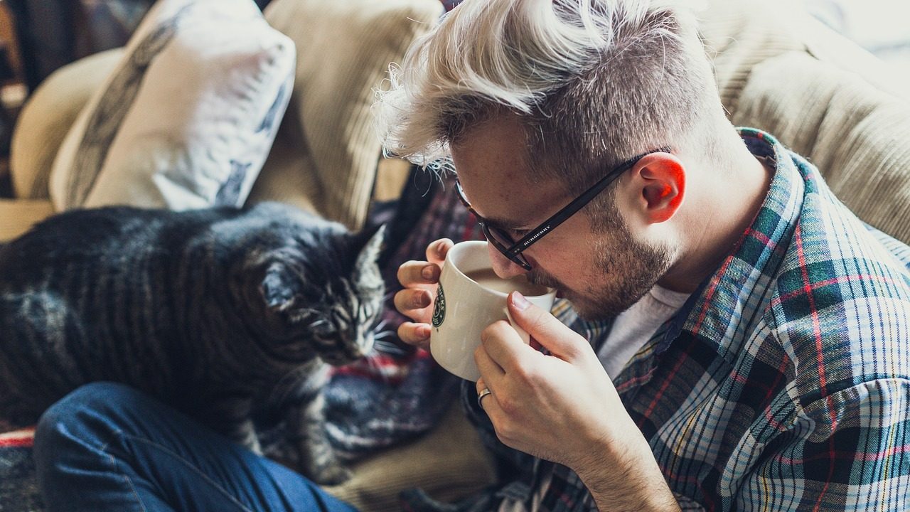 man, sofa, coffee-2178466.jpg